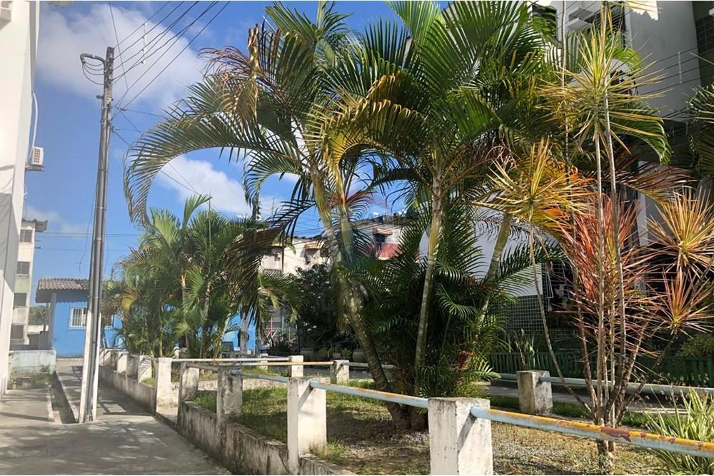 Apartamento - Venda - Recife , Pernambuco - 1de670c6-0e1f-4e15-b13f-d5d3afe5901a.jpg - 850501198-5