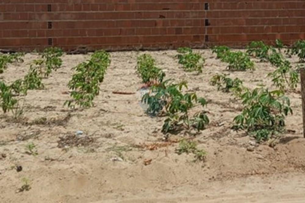 Terreno - Venda - Lajedo , Pernambuco - WhatsApp Image 2025-11-23 at 12.54.15 PM.jpeg - 850131012-48