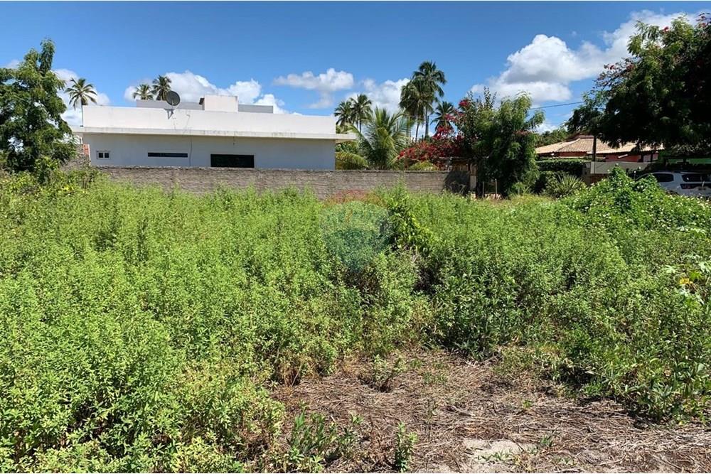 Terreno - Venda - Porto de Pedras , Alagoas - 21.jpg - 850271286-55