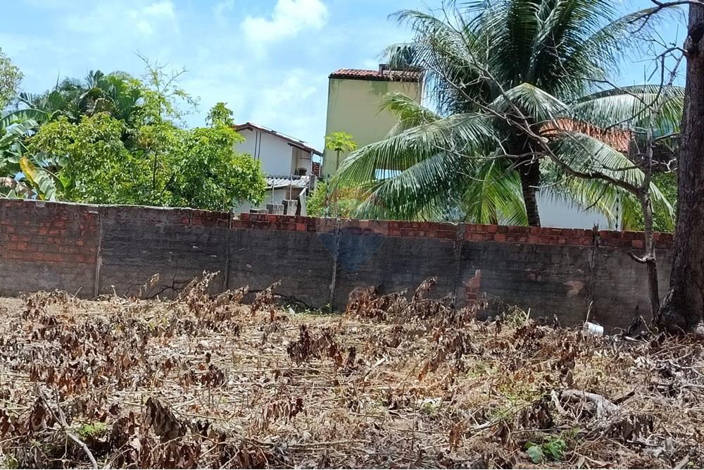 Terreno - Venda - Maceió , Alagoas - WhatsApp Image 2025-12-10 at 15.35.59 (4).jpeg - 850271159-435