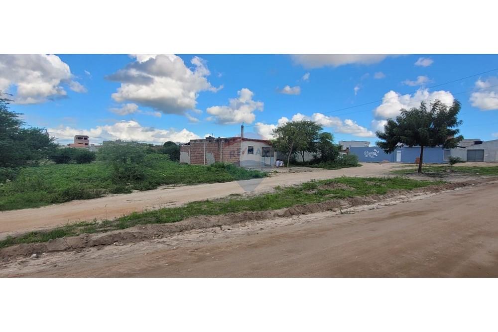 Terreno - Venda - Lajedo , Pernambuco - WhatsApp Image 2025-06-11 at 19.34.08 2.jpeg - 850741004-259
