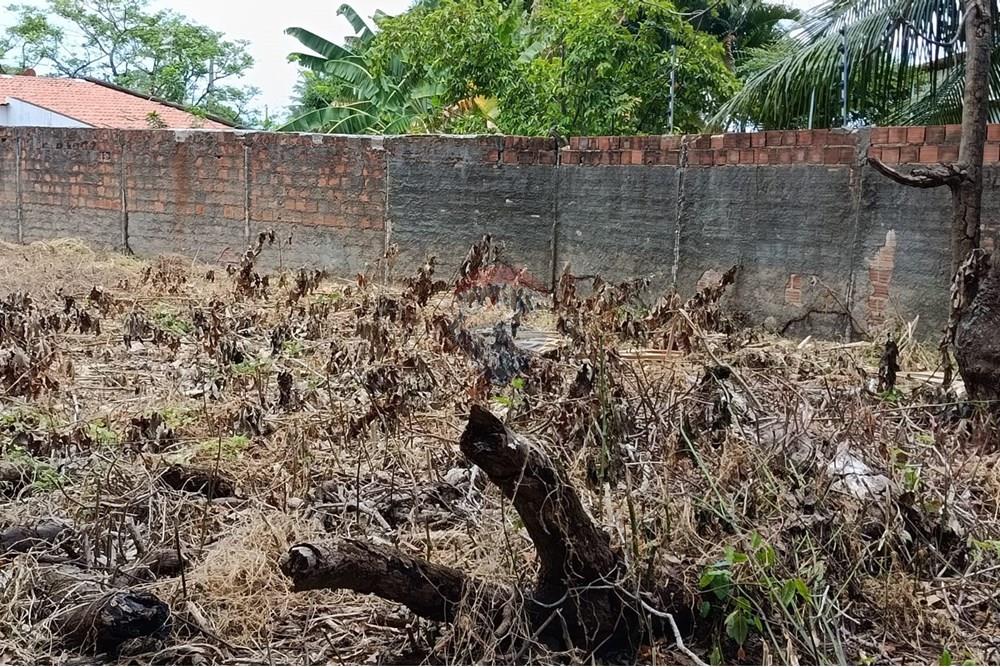 Terreno - Venda - Maceió , Alagoas - WhatsApp Image 2025-12-10 at 15.35.58 (1).jpeg - 850271159-435