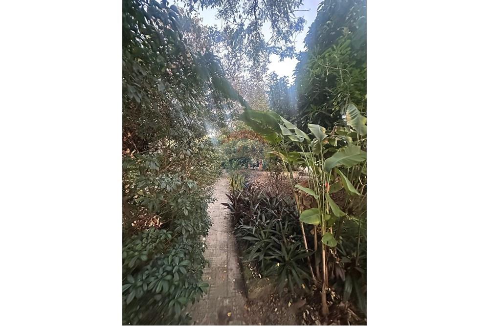 Casa - Venda - Goiana , Pernambuco - WhatsApp Image 2025-09-10 at 12.32.12 (39).jpeg - 850251012-221