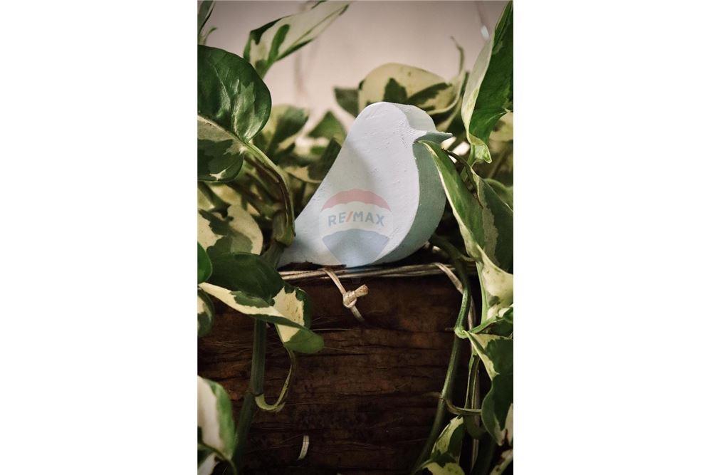 Cj. Comercial/ Sala - Alugar - Ipojuca , Pernambuco - 36 - 850221002-497