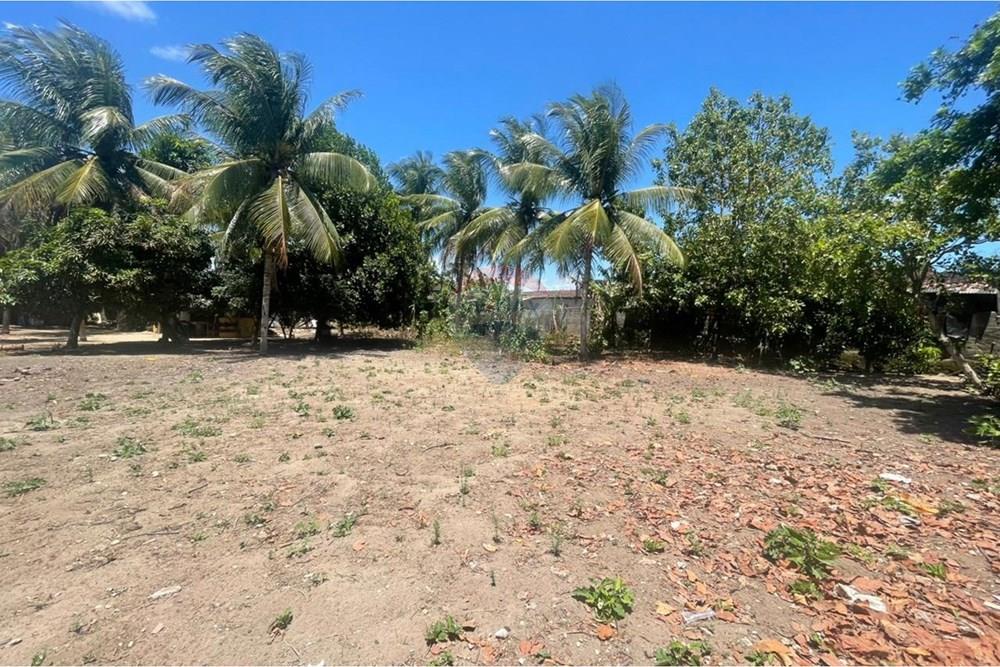 Terreno - Venda - Maceió , Alagoas - WhatsApp Image 2026-01-16 at 14.15.09.jpeg - 850271272-1