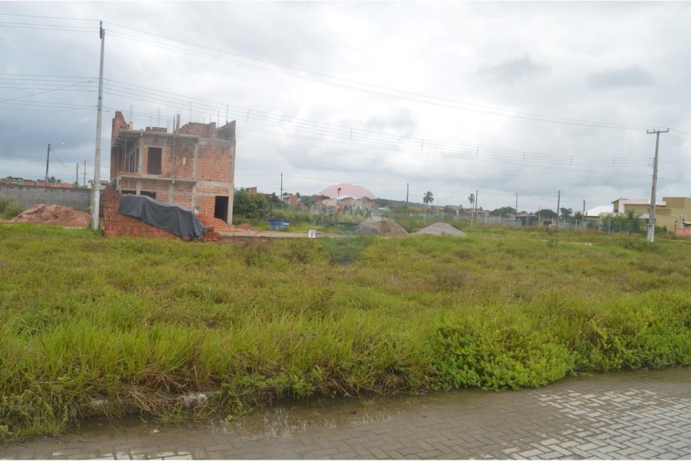 Terreno - Venda - Maragogi , Alagoas - SAVE_20250913_135427.jpg - 850291008-91