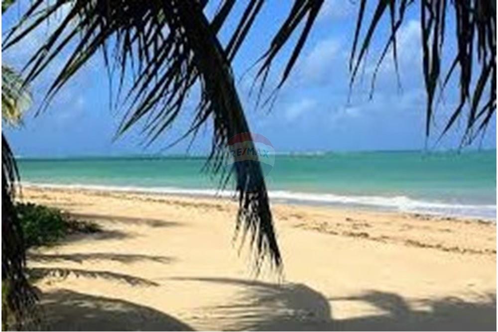 Terreno - Venda - São Miguel dos Milagres , Alagoas - download.jpeg - 850711016-62