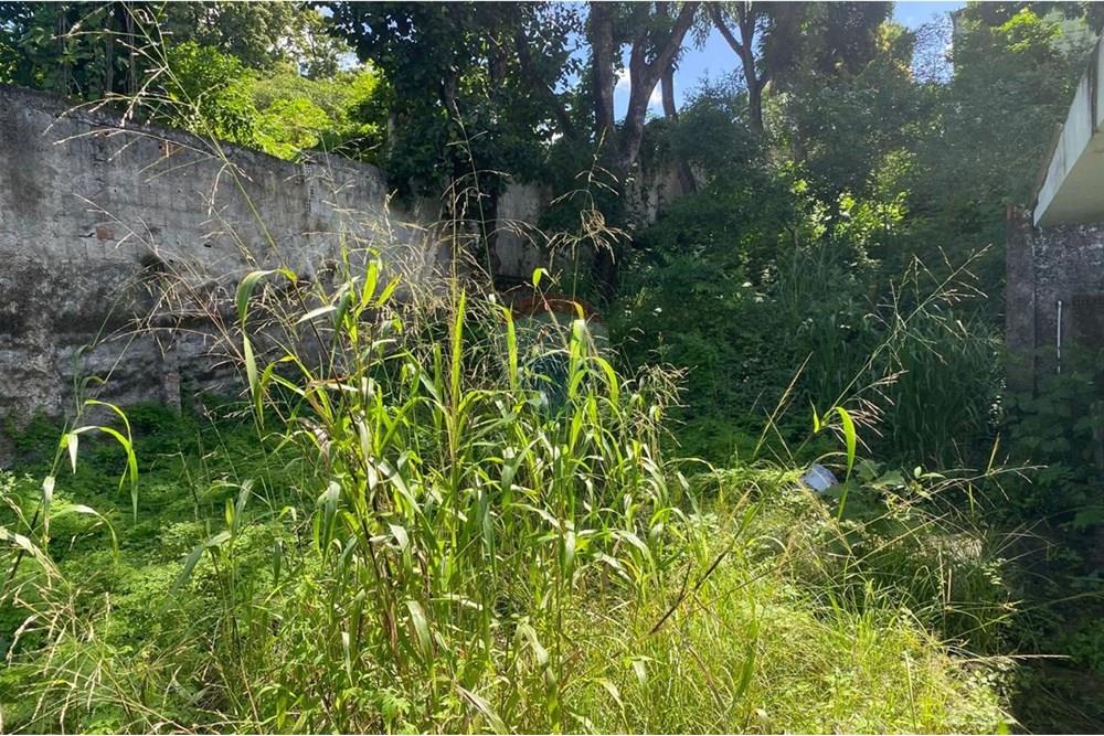 Casa Comercial - Venda - Recife , Pernambuco - IMG-20250617-WA0538.jpg - 850701012-89