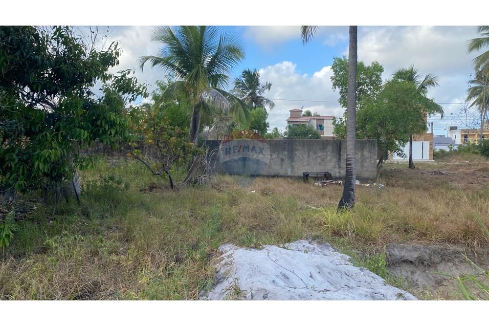 Terreno - Venda - Maragogi , Alagoas - IMG_3086.jpeg - 850271264-16