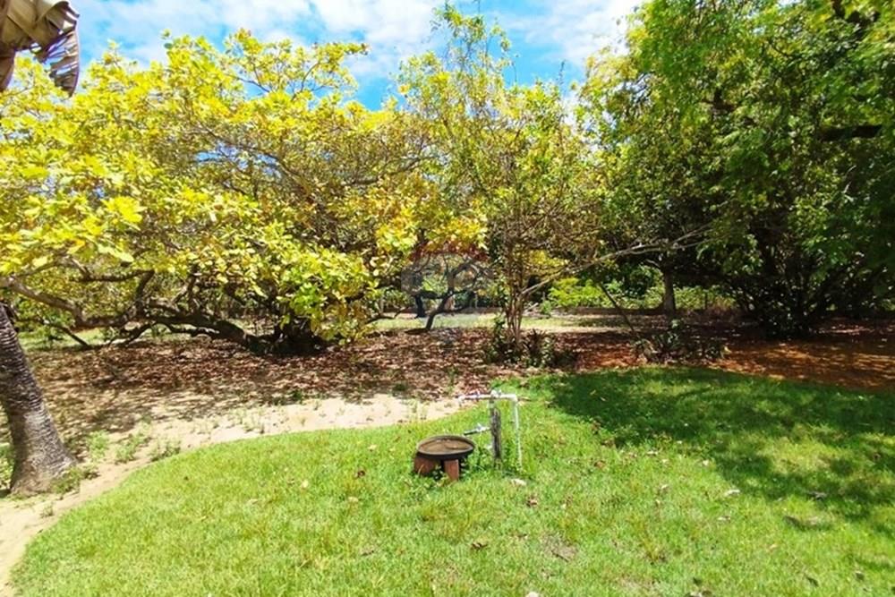 Chácara / Sítio / Fazenda - Alugar - Igarassu , Pernambuco - WhatsApp Image 2025-01-23 at 15.11.59 (1).jpeg - 850071019-200