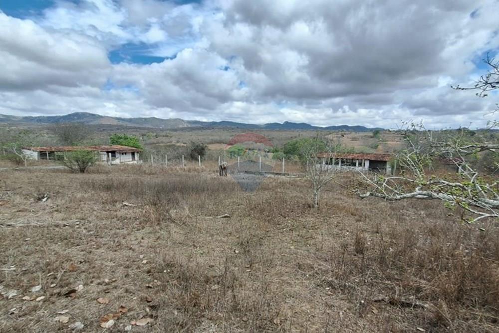 Chácara / Sítio / Fazenda - Venda - Caruaru , Pernambuco - WhatsApp Image 2026-03-02 at 12.25.29.jpeg - 850161060-46