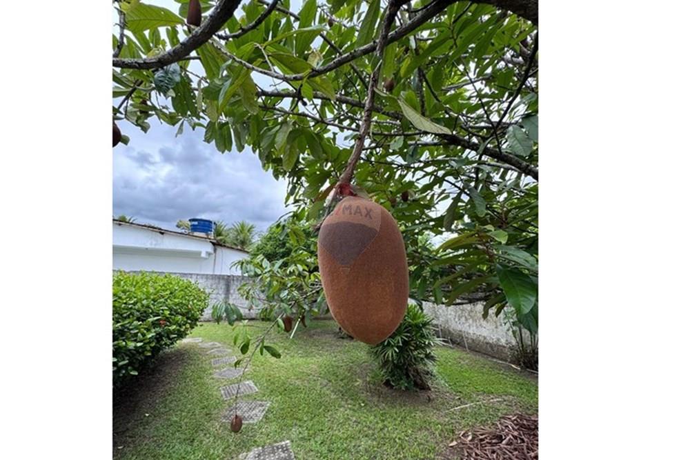 Casa - Alugar - Recife , Pernambuco - 5eg.jpeg - 850471078-4