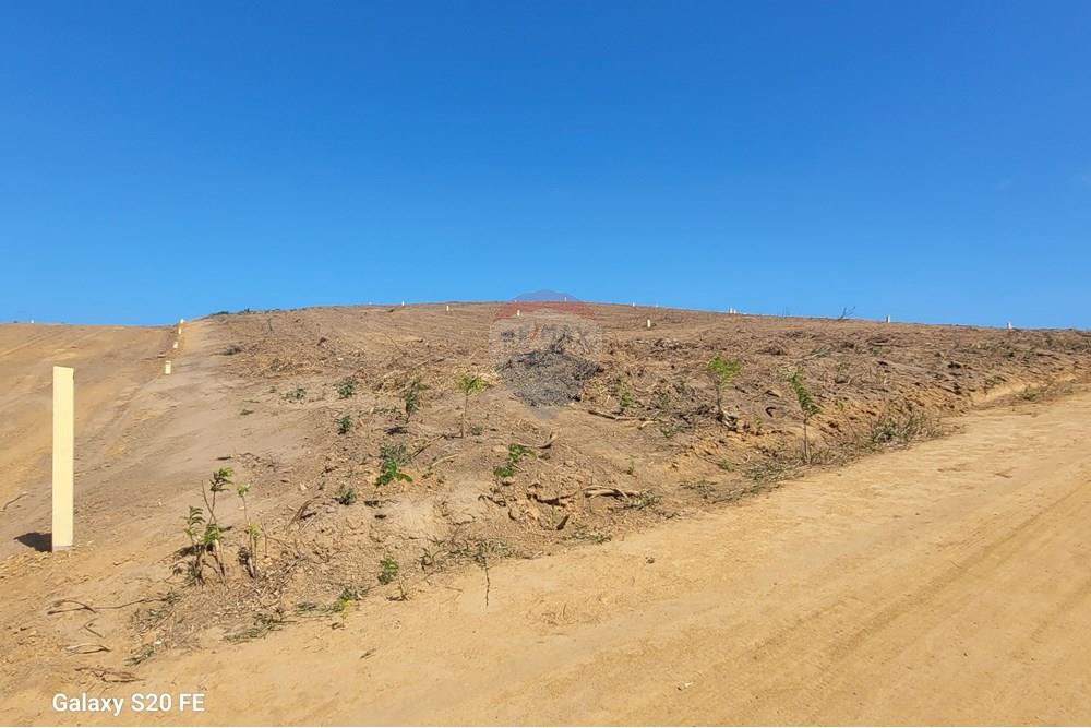 Terreno - Venda - Maragogi , Alagoas - 20251118_133723.jpg - 850291026-18