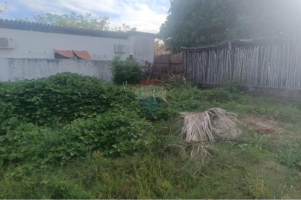 Terreno - Venda - Porto de Pedras , Alagoas - TERRENO CLÁUDIO 13.jpeg - 850141002-133