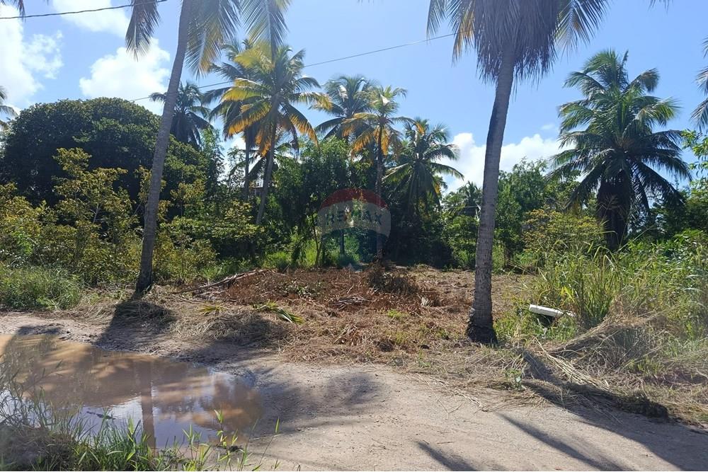 Terreno - Venda - Maragogi , Alagoas - IMG_20250531_123424.jpg - 850291008-73