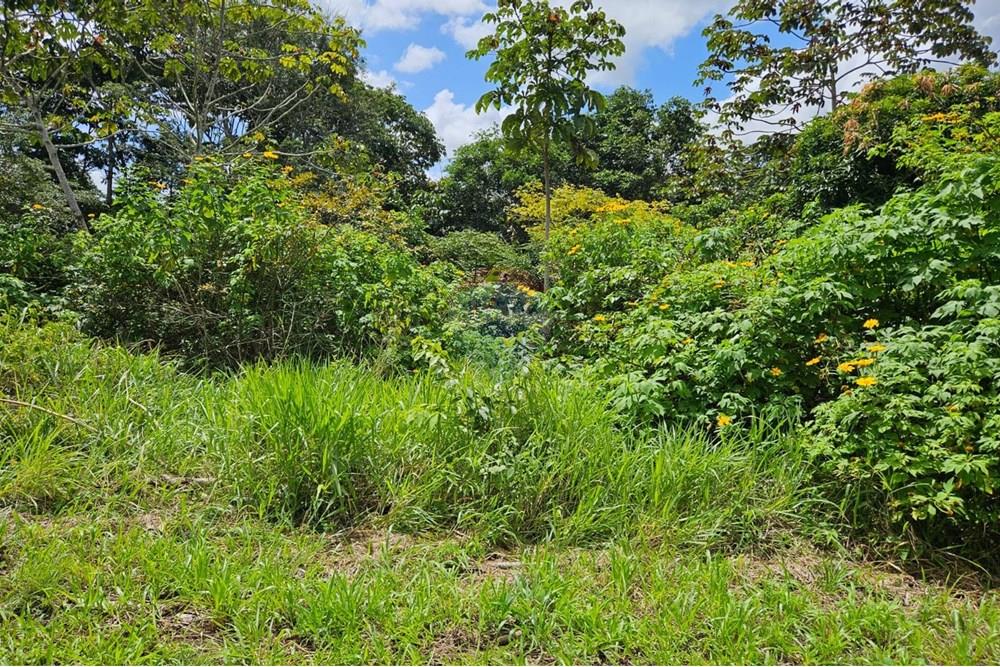 Terreno - Venda - Paudalho , Pernambuco - WhatsApp Image 2025-09-04 at 14.10.57.jpeg - 850471016-73