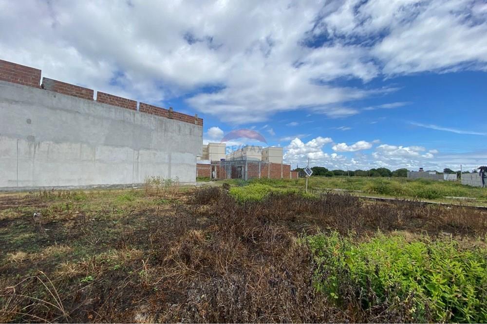 Terreno - Venda - Ipojuca , Pernambuco - WhatsApp Image 2026-02-17 at 12.37.52.jpeg - 850221030-41