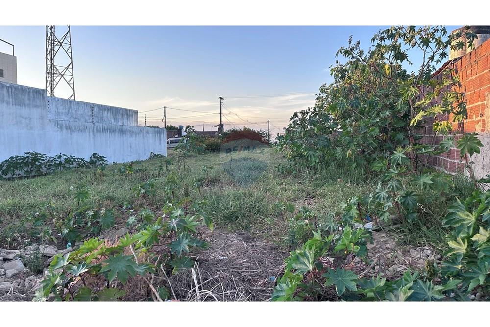 Terreno - Venda - Garanhuns , Pernambuco - IMG_2885.JPG - 850741006-8