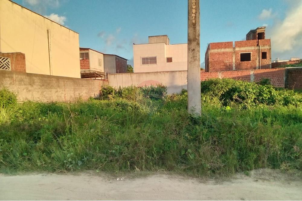 Terreno - Venda - Cabo de Santo Agostinho , Pernambuco - IMG_20250417_164821_347.jpg - 850281015-122