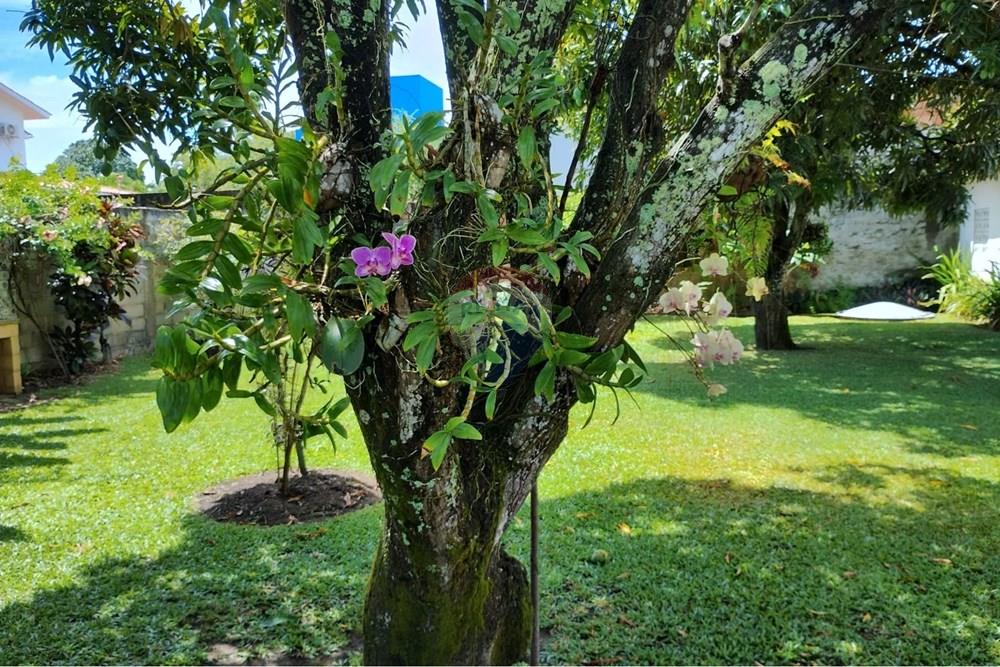 Casa de Condomínio - Venda - Maceió , Alagoas - WhatsApp Image 2026-03-04 at 17.45.59 (3).jpeg - 850751018-15