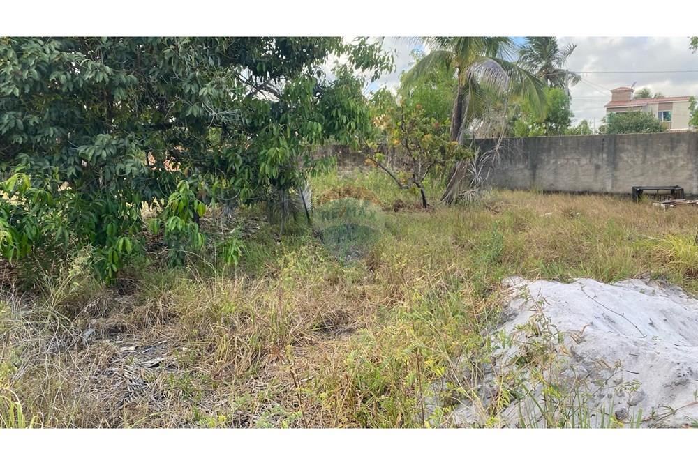 Terreno - Venda - Maragogi , Alagoas - IMG_3090.jpeg - 850271264-16