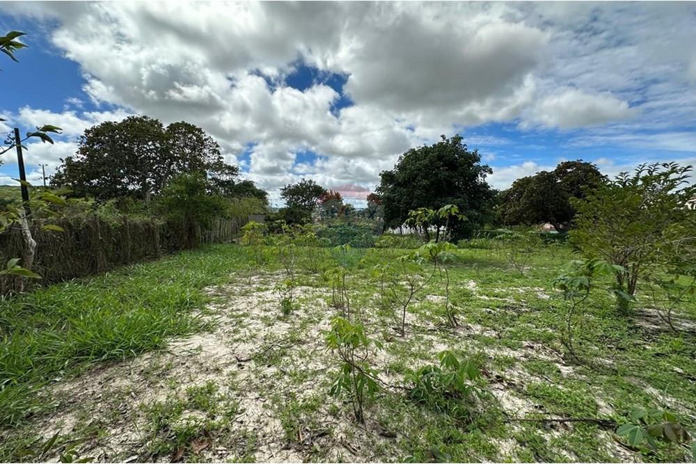 Terreno - Venda - Garanhuns , Pernambuco - FUNDO DO TERRENO SEU NILTON.jpg - 850741005-15