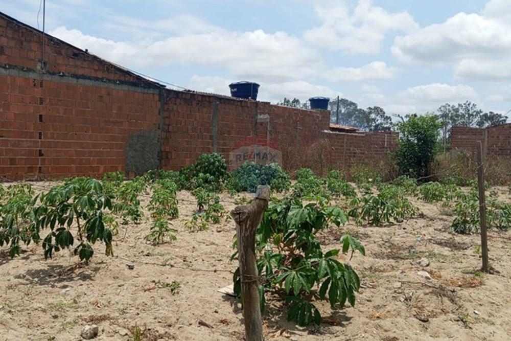 Terreno - Venda - Lajedo , Pernambuco - WhatsApp Image 2025-11-23 at 12.54.15 PM (3).jpeg - 850131012-48