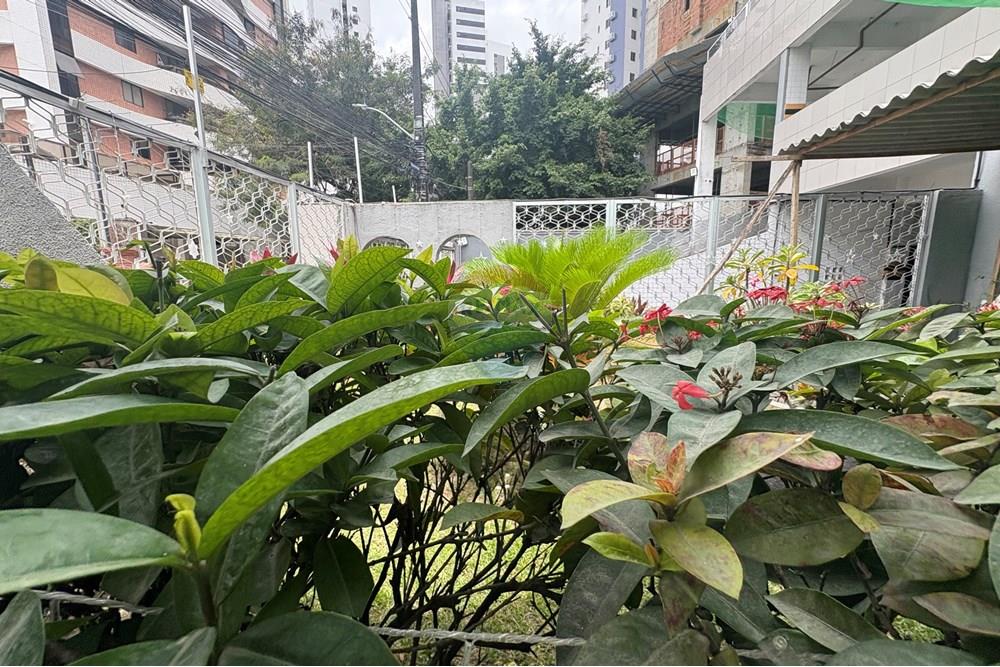 Apartamento - Venda - Recife , Pernambuco - IMG_0951.jpeg - 850091088-36