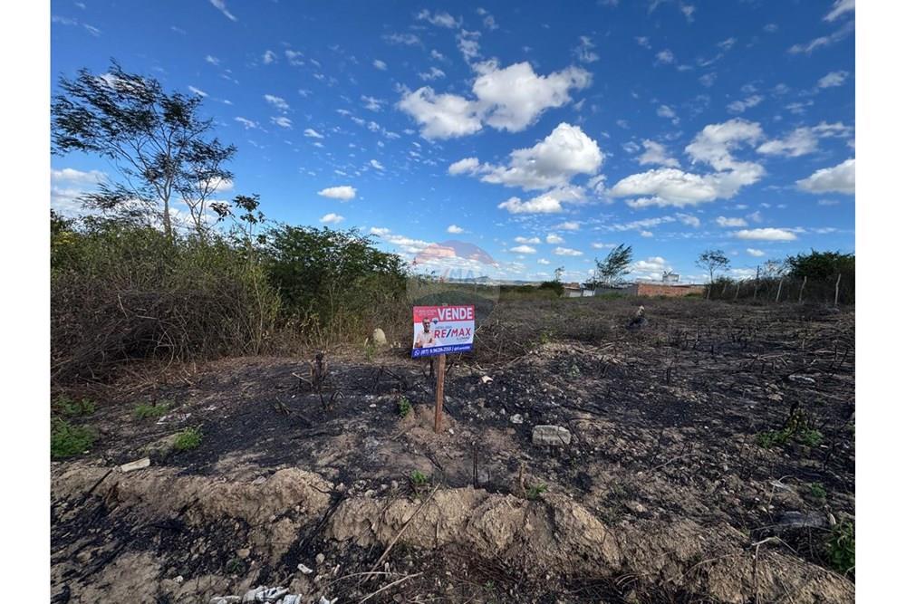 Terreno - Venda - Garanhuns , Pernambuco - WhatsApp Image 2025-12-03 at 21.36.57 (5).jpeg - 850131003-523