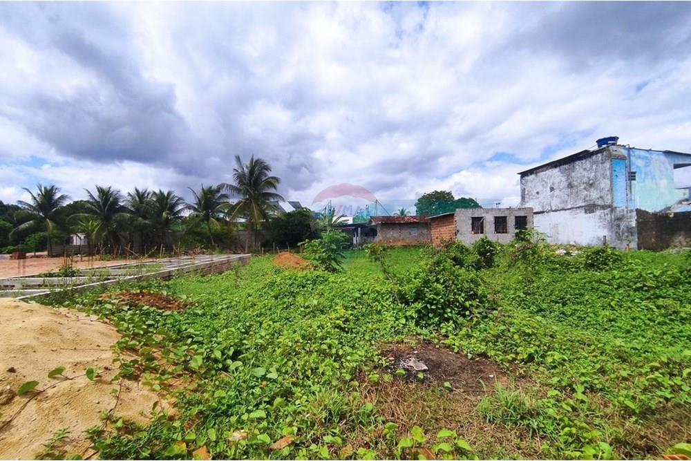 Terreno - Venda - Cabo de Santo Agostinho , Pernambuco - WhatsApp Image 2025-11-14 at 09.22.29 (3).jpeg - 850281001-56