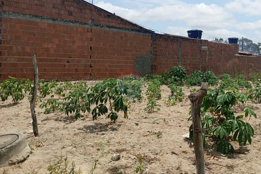 Terreno - Venda - Lajedo , Pernambuco - WhatsApp Image 2025-11-23 at 12.54.15 PM (3).jpeg - 850131012-48
