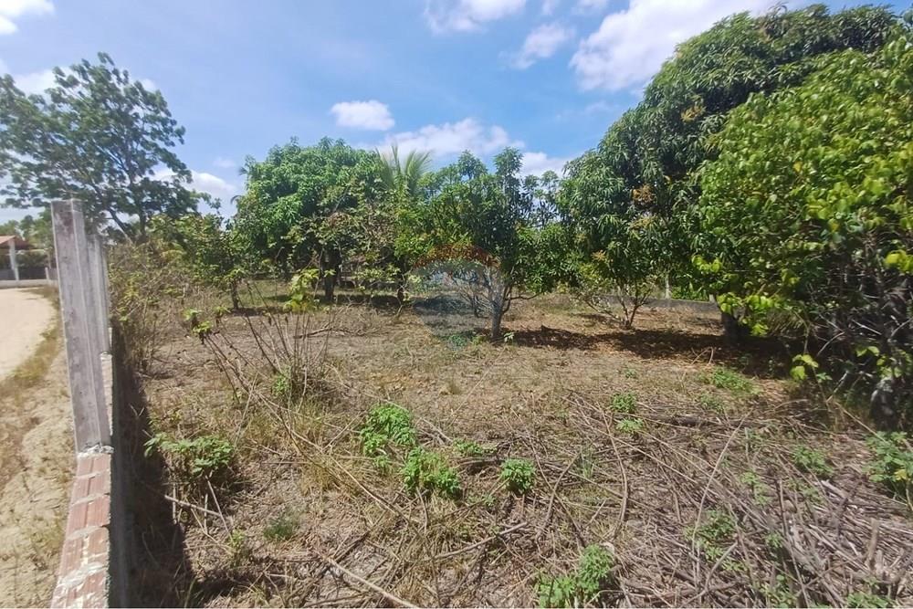 Casa de Campo - Venda - Moreno , Pernambuco - WhatsApp Image 2026-03-29 at 23.19.34 (1).jpeg - 850701027-22