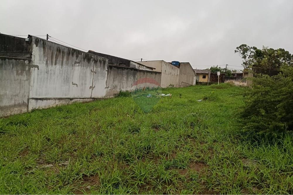 Terreno - Venda - Garanhuns , Pernambuco - WhatsApp Image 2026-03-11 at 11.09.37 (1).jpeg - 850741008-3