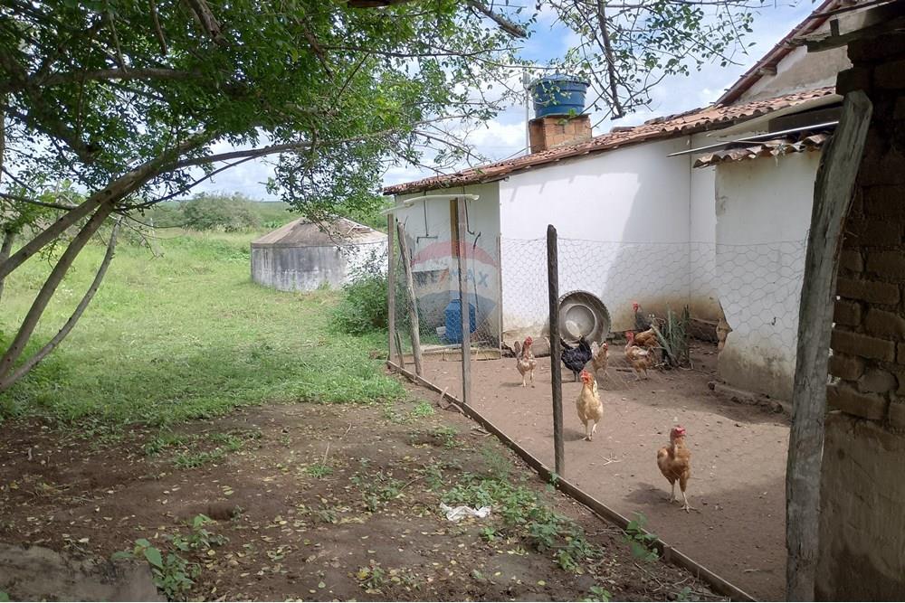 Chácara / Sítio / Fazenda - Venda - Lajedo , Pernambuco - IMG_20250616_111835_HDR.jpg - 850131018-51