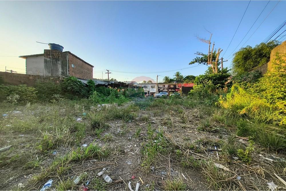 Terreno - Venda - Recife , Pernambuco - Generated Image February 20, 2026 - 12_23PM.jpg - 850191023-68