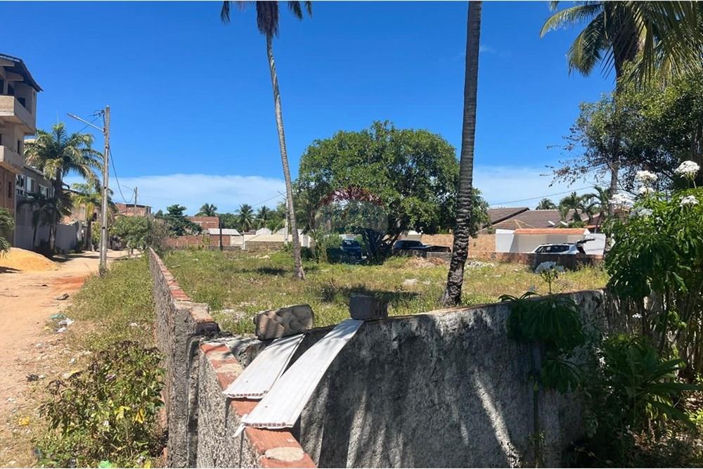 Terreno - Venda - Sirinhaém , Pernambuco - WhatsApp Image 2025-05-08 at 17.21.07 (1).jpeg - 850721002-153