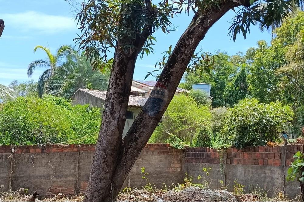 Terreno - Venda - Maceió , Alagoas - WhatsApp Image 2025-12-10 at 15.35.59 (1).jpeg - 850271159-435