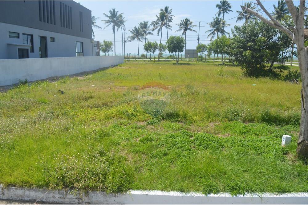 Terreno - Venda - Japaratinga , Alagoas - SAVE_20250916_143926.jpg - 850291008-89