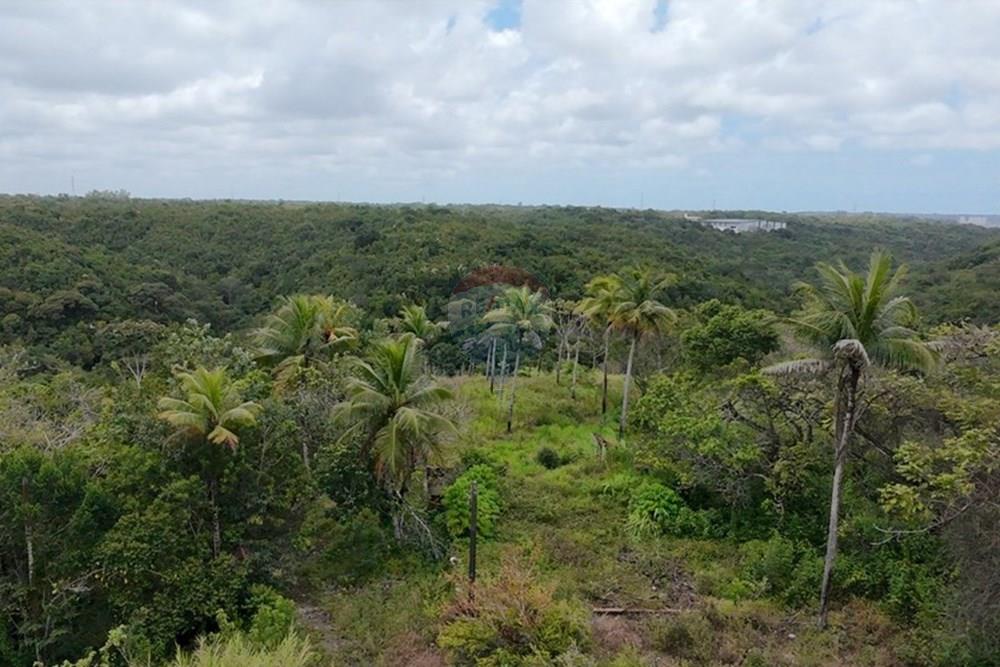 Chácara / Sítio / Fazenda - Venda - Recife , Pernambuco - WhatsApp Image 2025-10-09 at 14.41.58.jpeg - 850071019-216