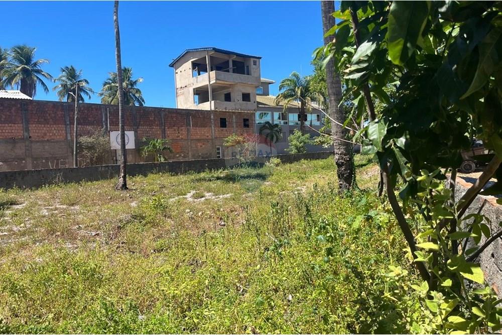 Terreno - Venda - Sirinhaém , Pernambuco - WhatsApp Image 2025-05-08 at 17.21.04 (1).jpeg - 850721002-153