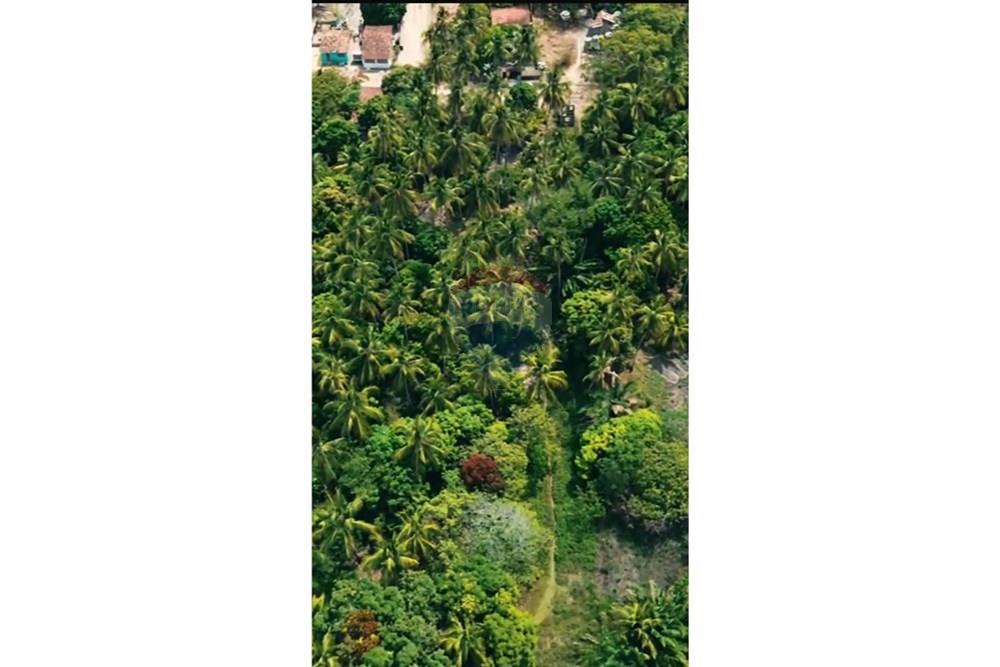 Chácara / Sítio / Fazenda - Venda - Marechal Deodoro , Alagoas - WhatsApp Image 2026-01-09 at 11.30.59 (1).jpeg - 850711032-23