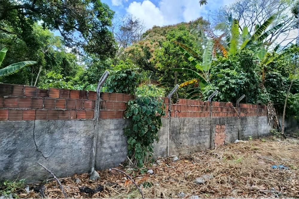 Terreno - Venda - Maceió , Alagoas - WhatsApp Image 2025-12-10 at 15.35.57.jpeg - 850271159-435