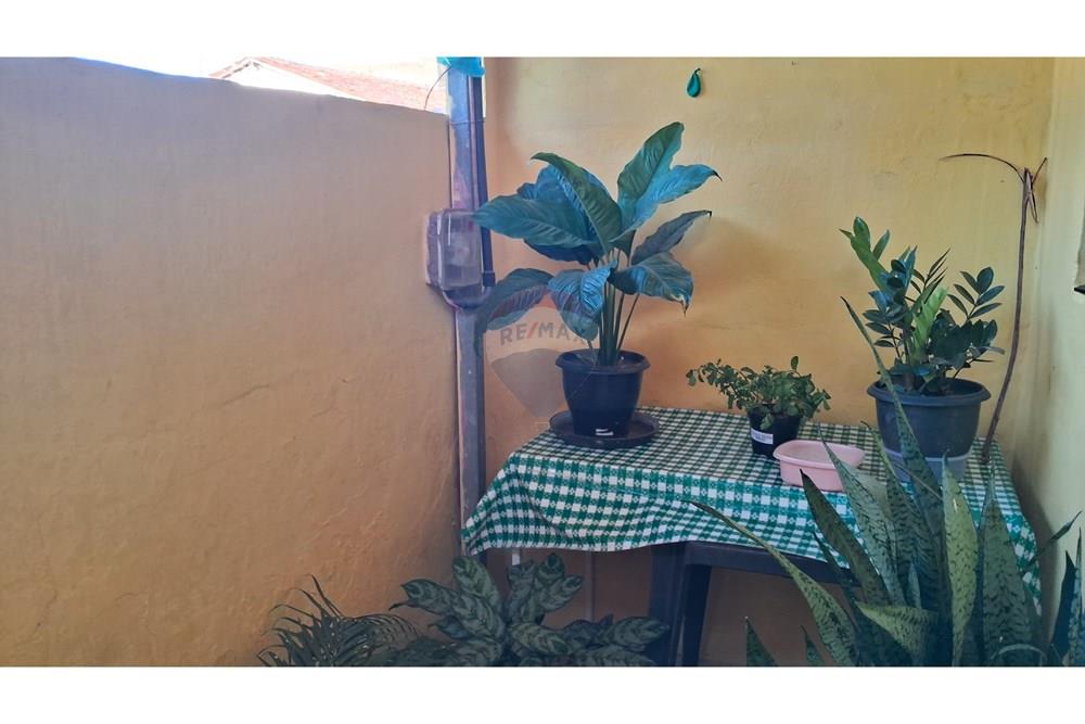 Casa - Venda - Recife , Pernambuco - 20250506_160833.jpg - 850091081-161