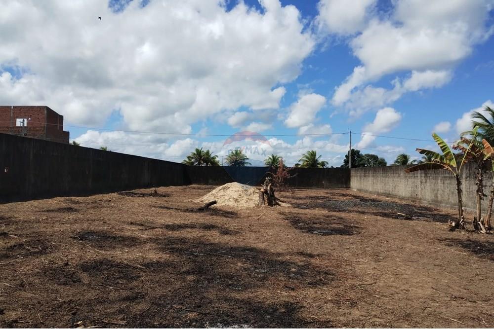 Terreno - Venda - Abreu e Lima , Pernambuco - WhatsApp Image 2025-10-22 at 15.24.17 (1).jpeg - 850721009-19