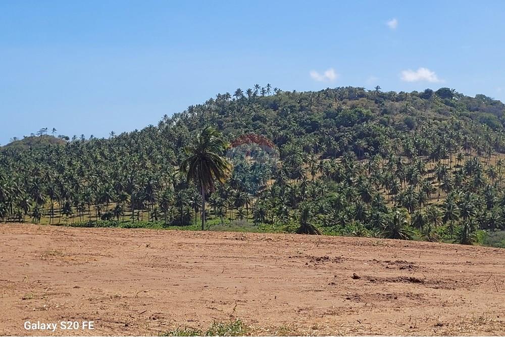 Terreno - Venda - Maragogi , Alagoas - 20251118_133334.jpg - 850291026-18