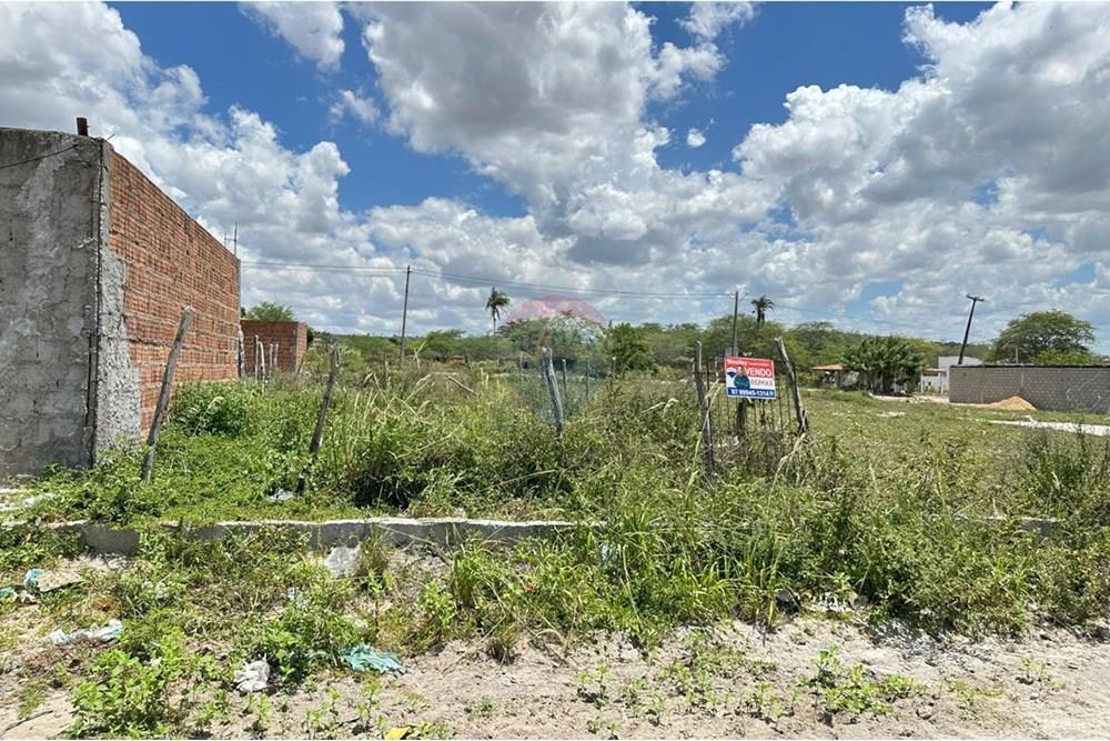 Terreno - Venda - Lajedo , Pernambuco - WhatsApp Image 2025-03-23 at 23.01.04 (3).jpeg - 850131003-420