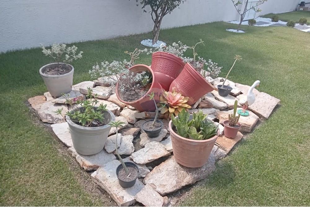 Casa - Venda - Recife , Pernambuco - 1e6a4930-5eb6-46bc-83e1-06947a8e072a.jpg - 850251079-71