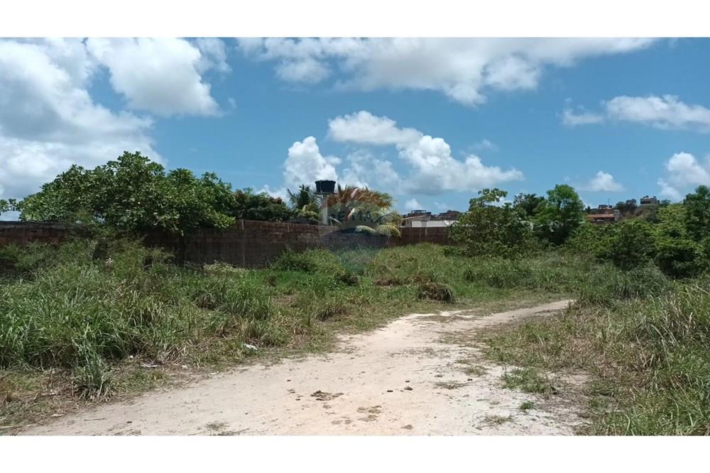 Terreno - Venda - Cabo de Santo Agostinho , Pernambuco - WhatsApp Image 2025-03-15 at 17.20.56.jpeg - 850281025-39