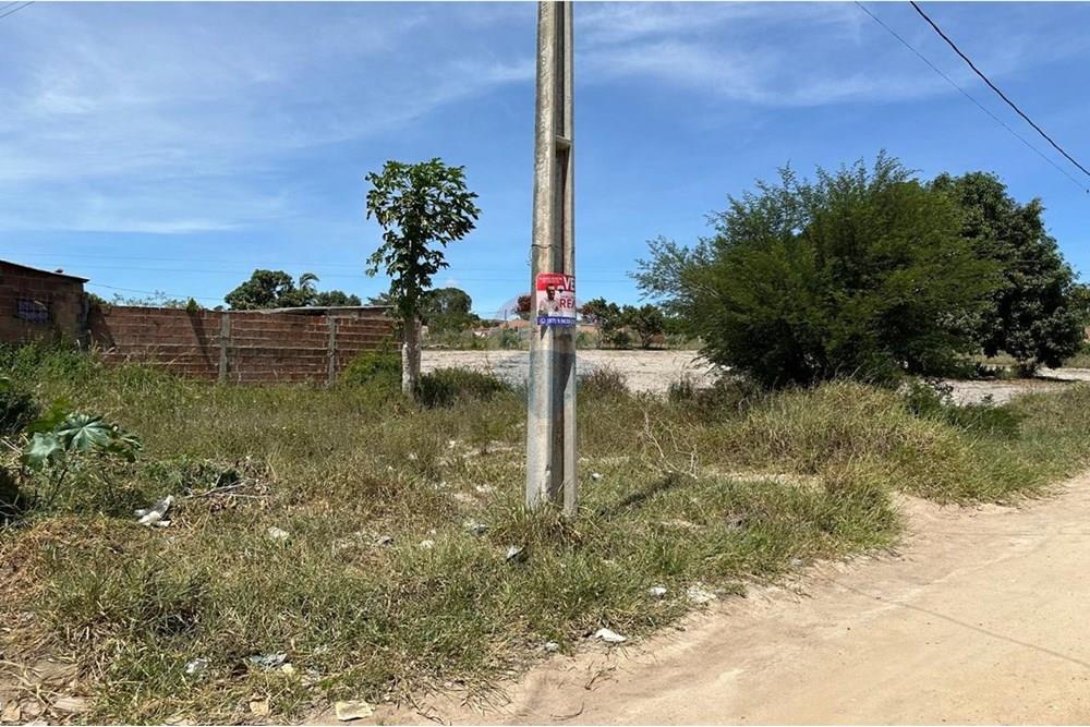 Terreno - Venda - Garanhuns , Pernambuco - WhatsApp Image 2025-05-13 at 21.24.52 (12).jpeg - 850131003-443