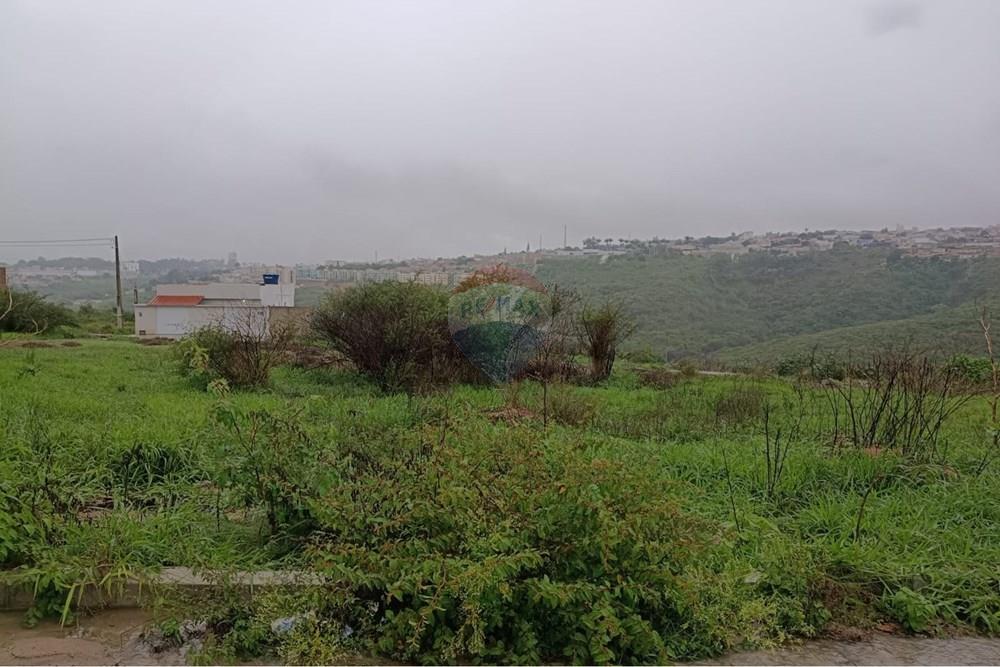 Terreno - Venda - Garanhuns , Pernambuco - WhatsApp Image 2026-03-11 at 11.09.36 (4).jpeg - 850741008-3